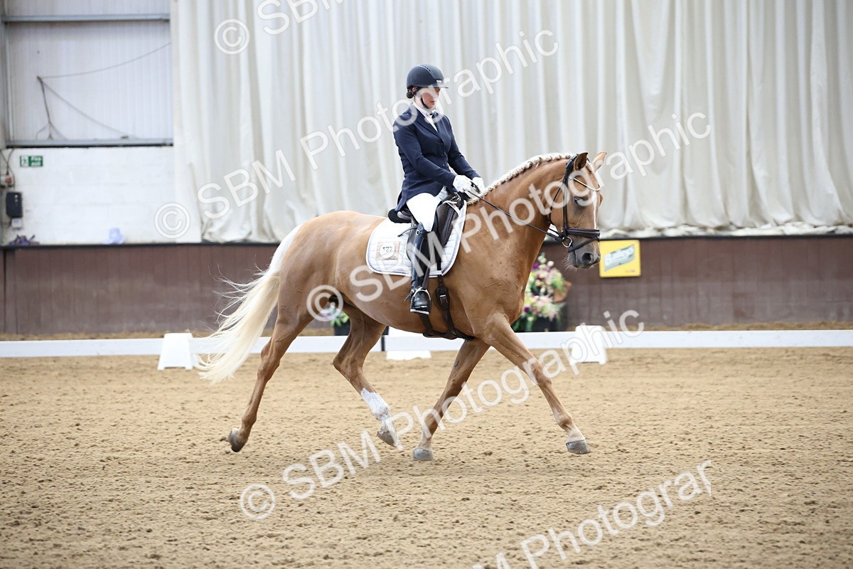 SBM_002067 - Class 5 - Novice 6 Gold - 9.00-10.10