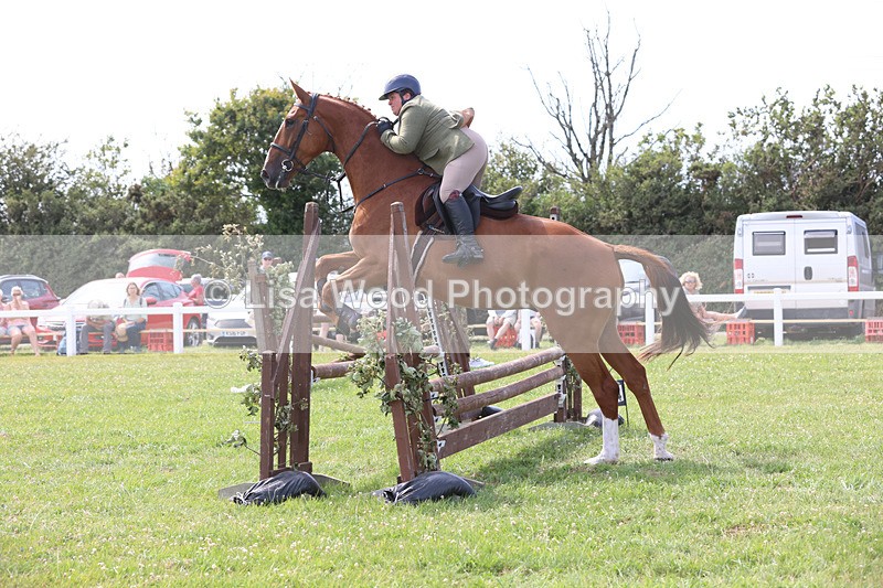 JPP_3747 - Class 23: Working Hunter 80cm