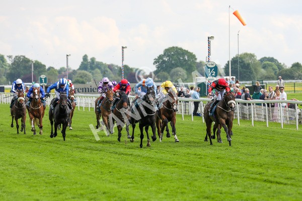 150524-Race 5-Diligent Resdev-1542 - Race 5 4.15pm Conundrum HR Consulting Handicap
