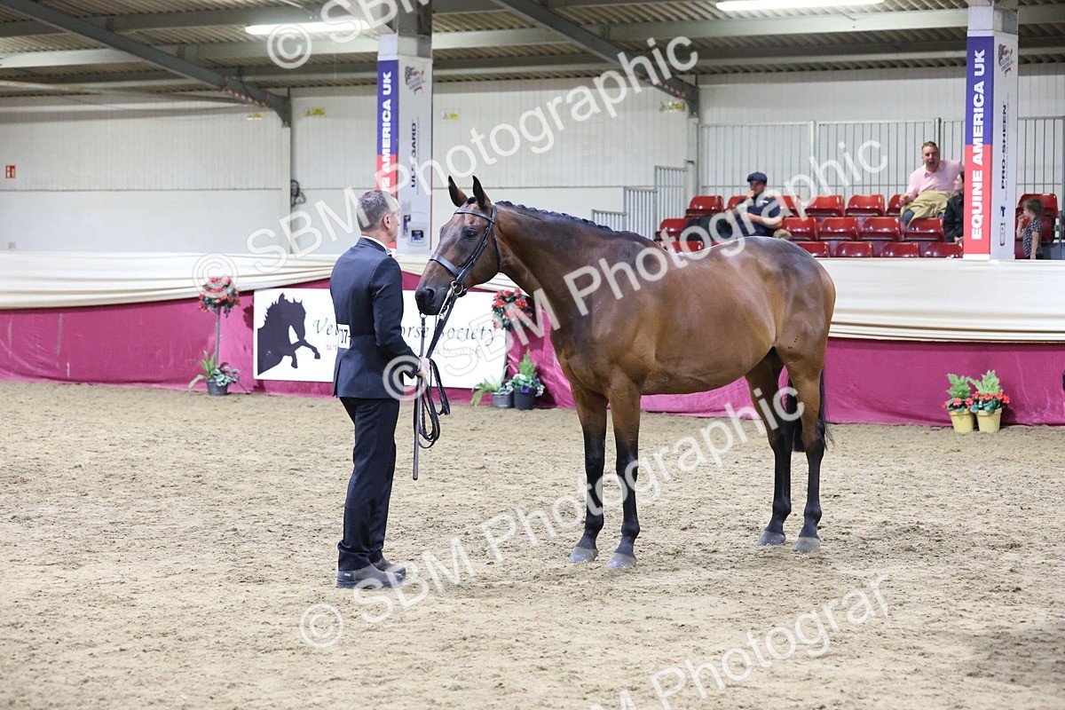 SBM_20662 - Class I - Ridden Pony Champ