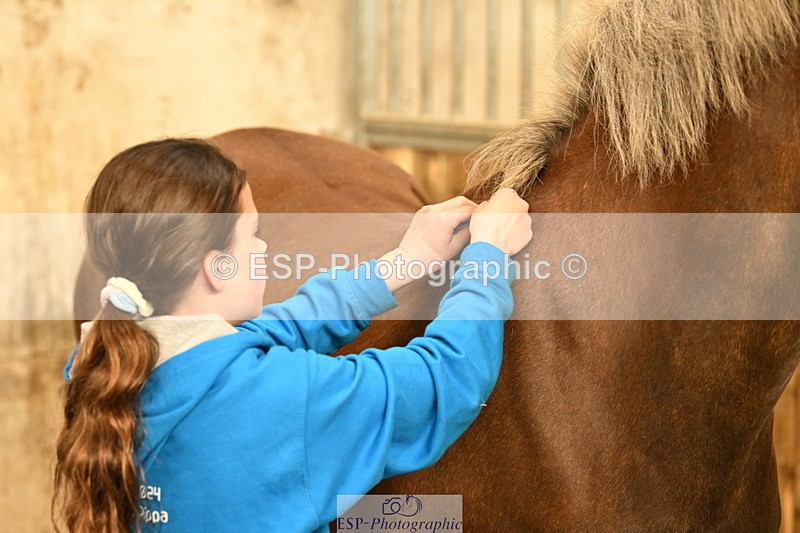 240809A-092706-00082 - Stable Shots