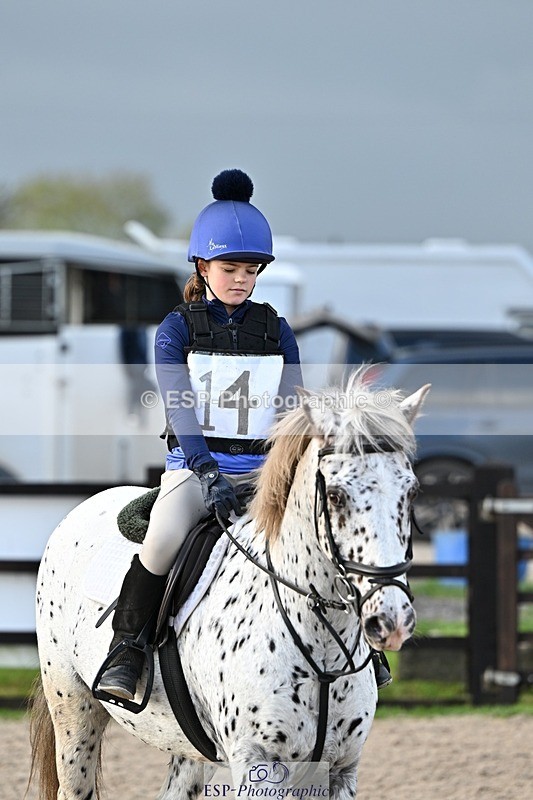 241110-132957-00852 - 60-65cm Arena Eventing
