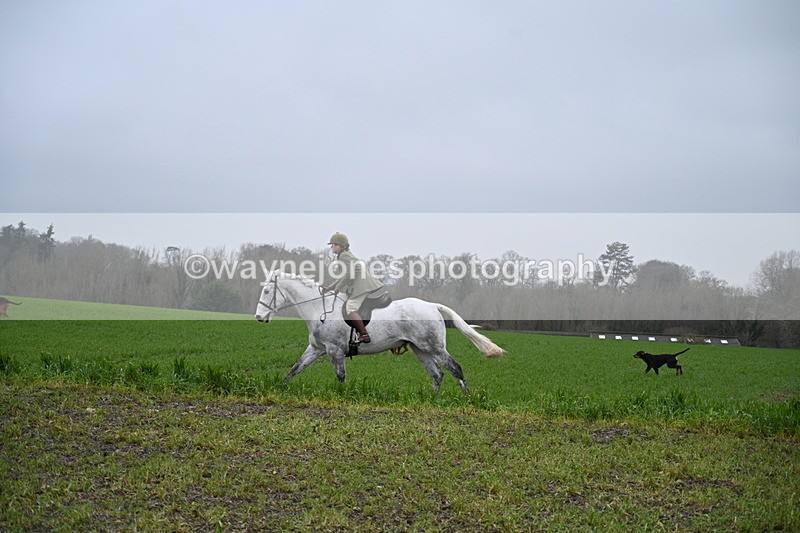 WJ7_9689 - Walk out..