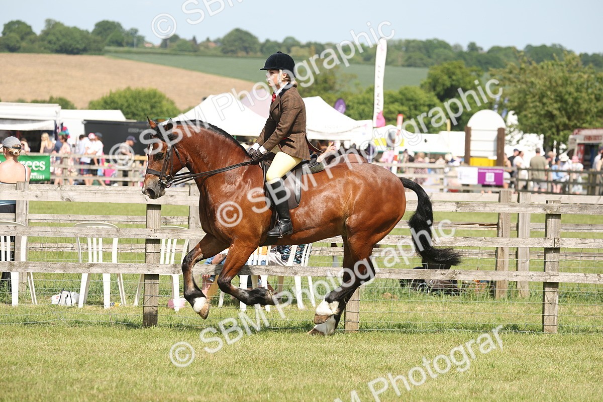SBM_07703 - Class 26-30 - Mountain and Moorland Ridden