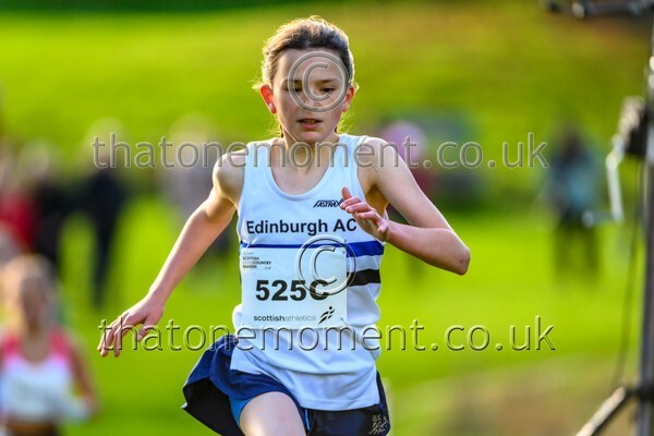 NatRel25-925145 - Young Female Set Two