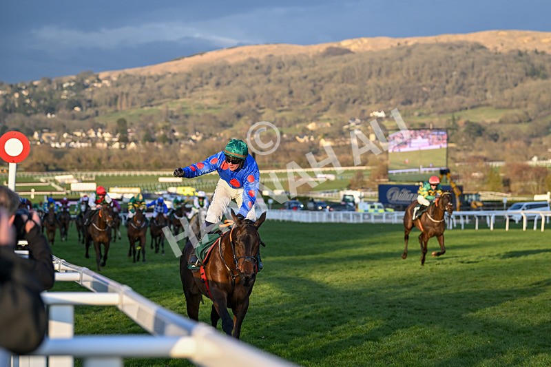 140325-Race 7-Wodhooh-6126 - 14th March