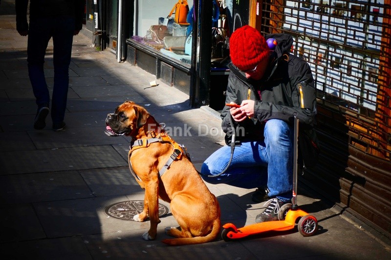 MAN WITH DOG - Frank Doran