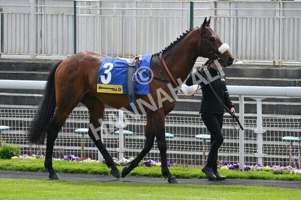 yr12052021r2-1 - Race 2 2.10pm Churchill Tyres Stakes