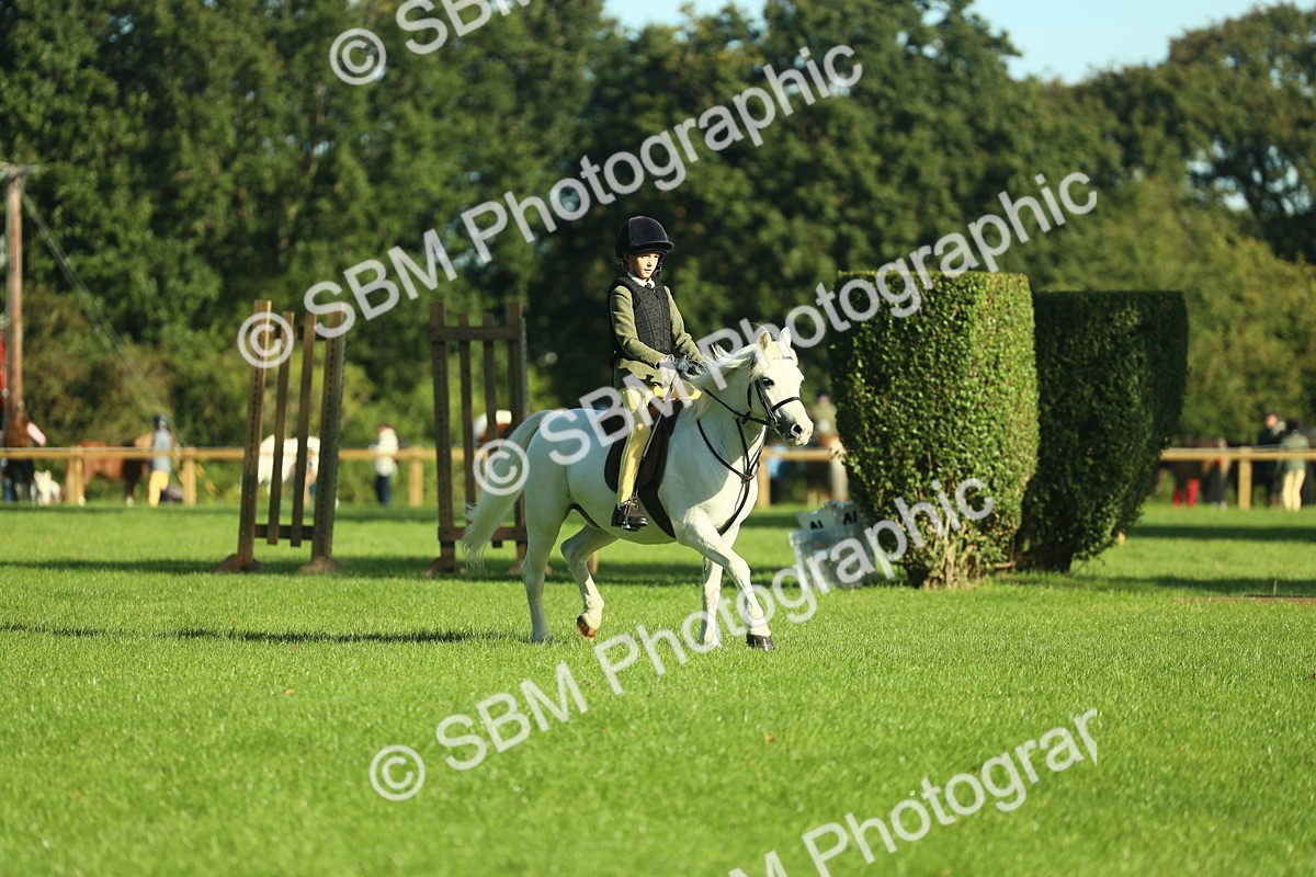 SBM_36371 - S29 - Novice & Newcomers Working Hunter Pony