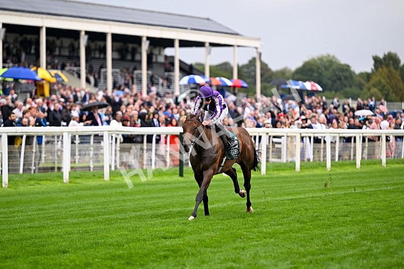 200826-Race 2-Sun Goddess-3163 - Race 2 14.25pm Harry's Half Million By Goffs