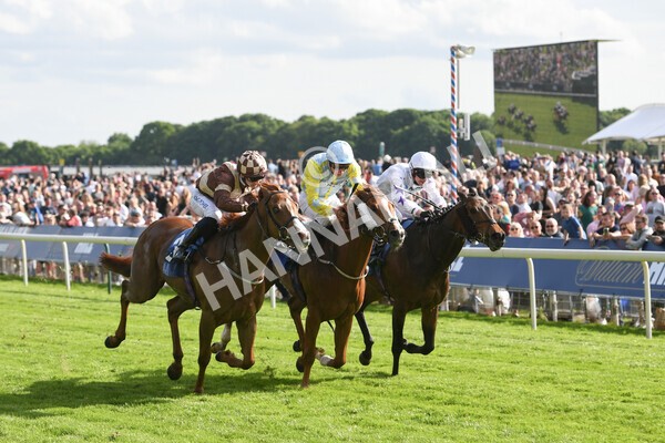 yr21052022r7-25 - Race 7: 5:15pm Reg Bond Always and Forever Stakes