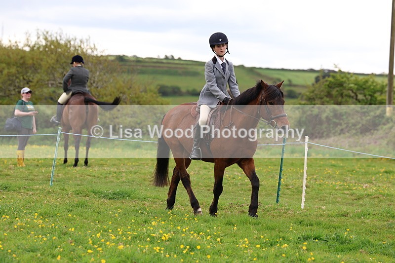 3E7A1544 - Class 8: Ridden Veteran Junoir and Senior