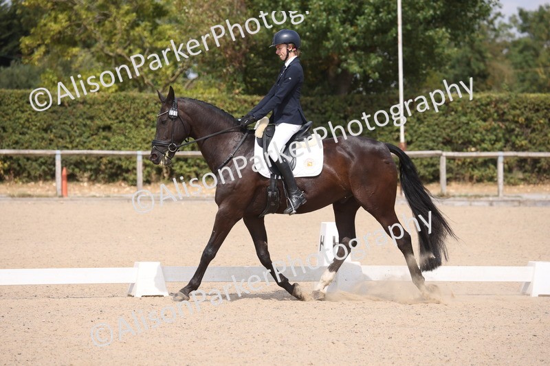 20260816-1082 - Class 4 - Novice 6