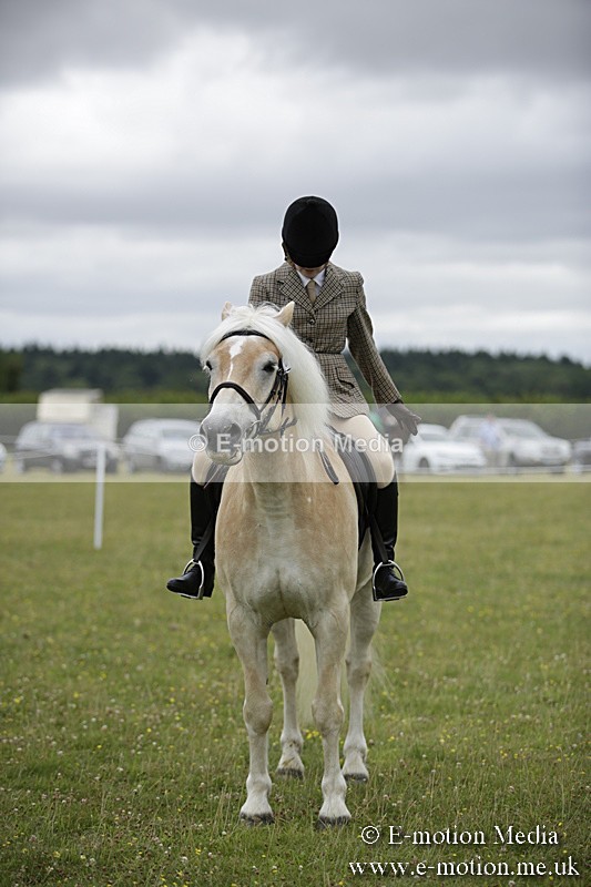 BVR160717-1536 - Ring 1 BVRC Show 16/07/17