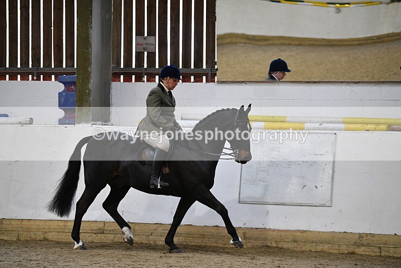 WJ5_6104 - Class 9 Ridden Veteran