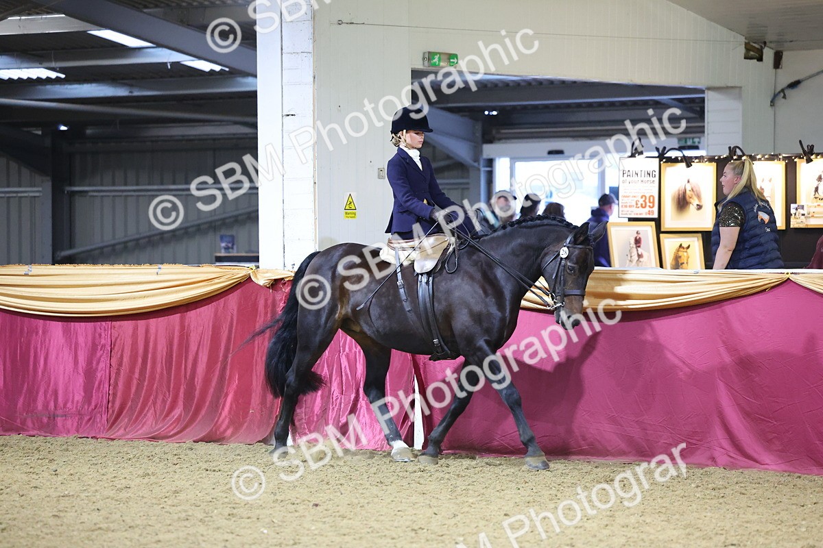 SBM_19296 - Class K Equitation Champ