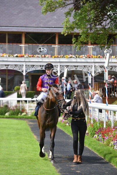 yr09072021r2-30 - Race 2: 2.40pm William Hill Summer Stakes