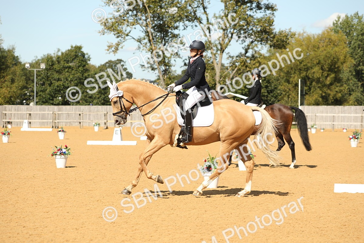SBM_22330 - D17 - Grand Tour Championship - Novice 27