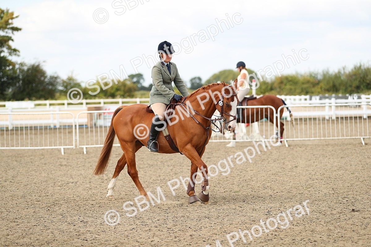 SBM_04773 - Class 46b Style & Performance 50cm (20+)