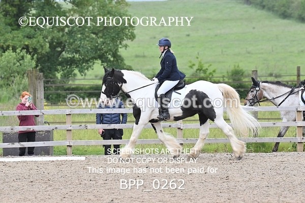 BPP_0262 - 31 E WYLLIE