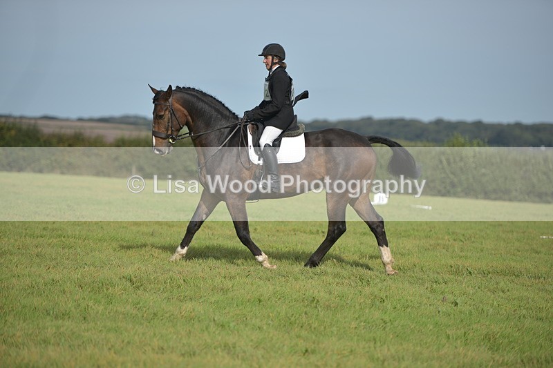 RAY_7928 - Class 2B: Trekenning Open: Dressage