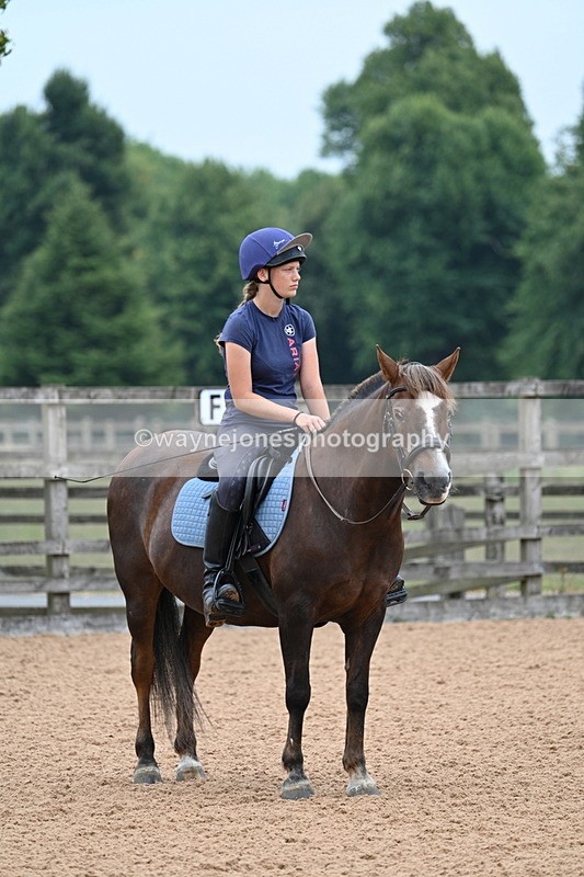 WJ7_7615 - Poles 10:00am