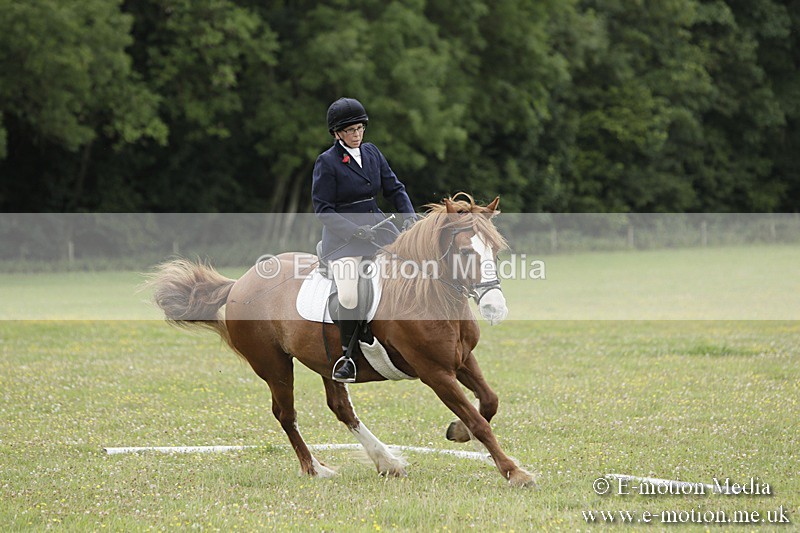 BVR160717-1234 - Class 2 Dressage 16/07/17