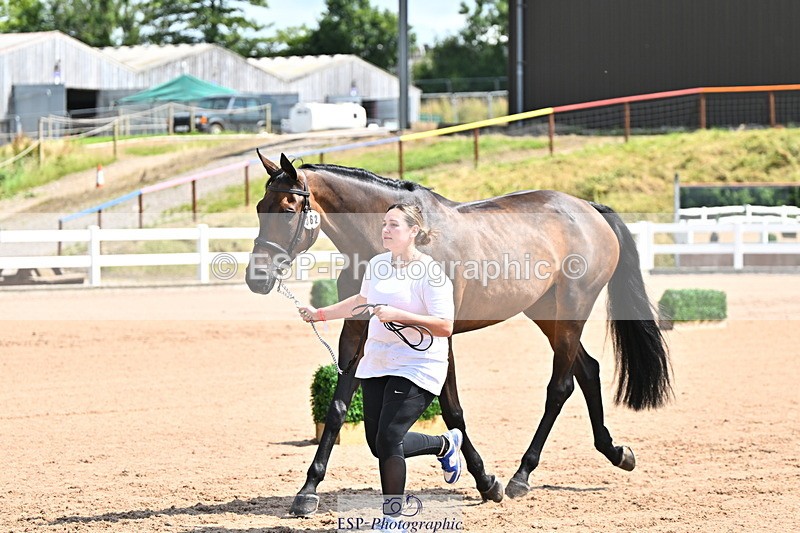 240718A-105241-01034 - Trot Up 11am to 12pm