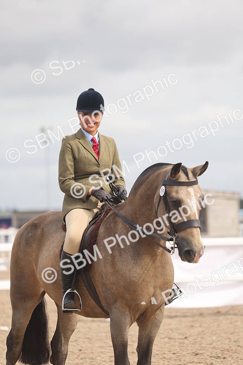 SBM_04546 - Class 19 - Horse/Pony Judge would most like to take home