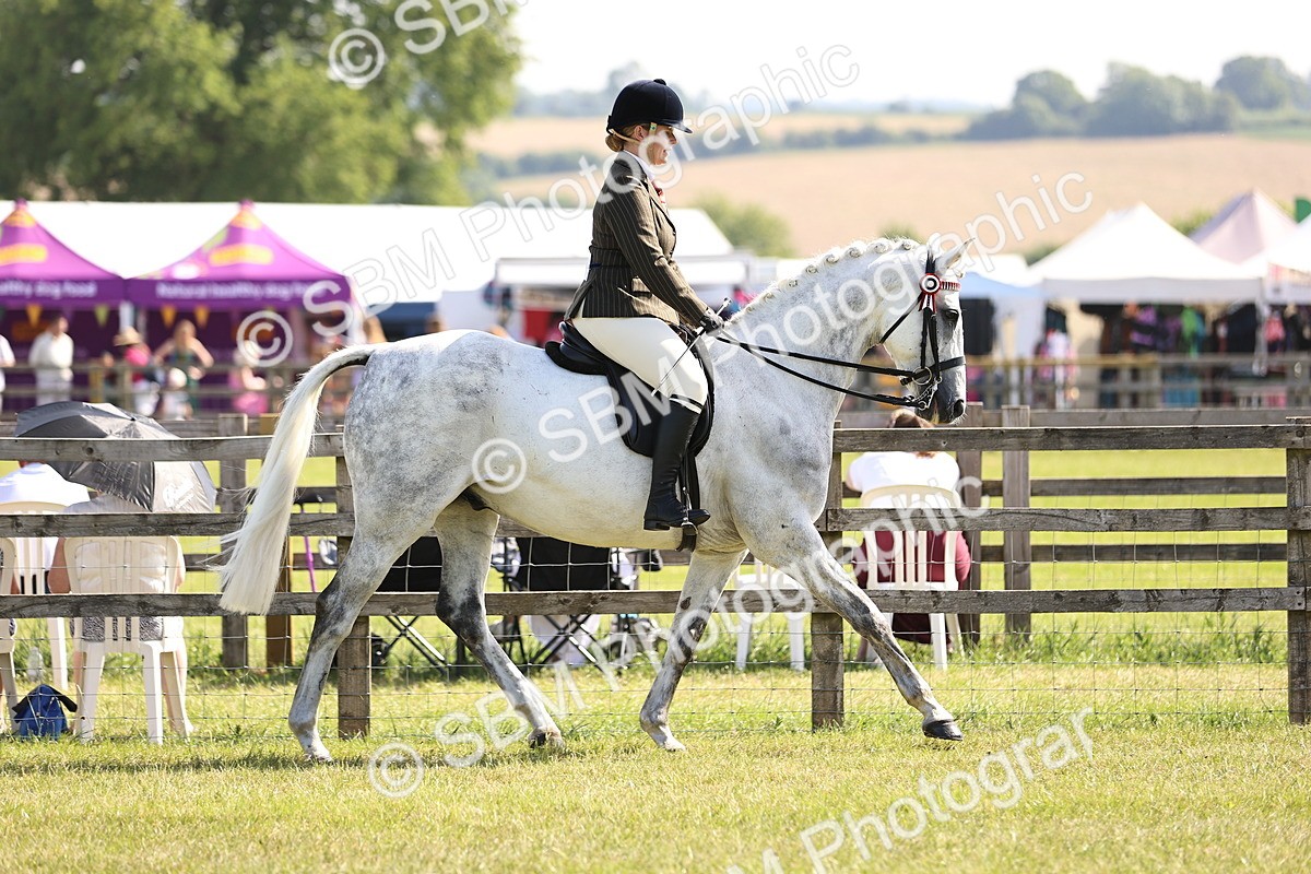 SBM_12890 - Class 75-76 LIHS BSHA Rising Star Hack Riding Horse