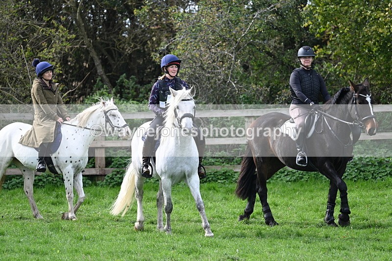 WJ7_8343 - Time 12:12 to 12:37