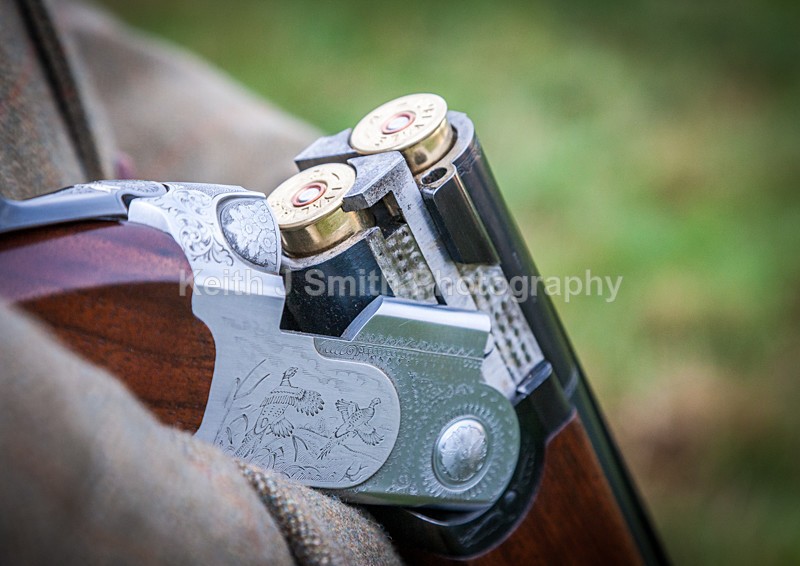 0SKJ9396 - Elton Hall Estate. Shoot day.