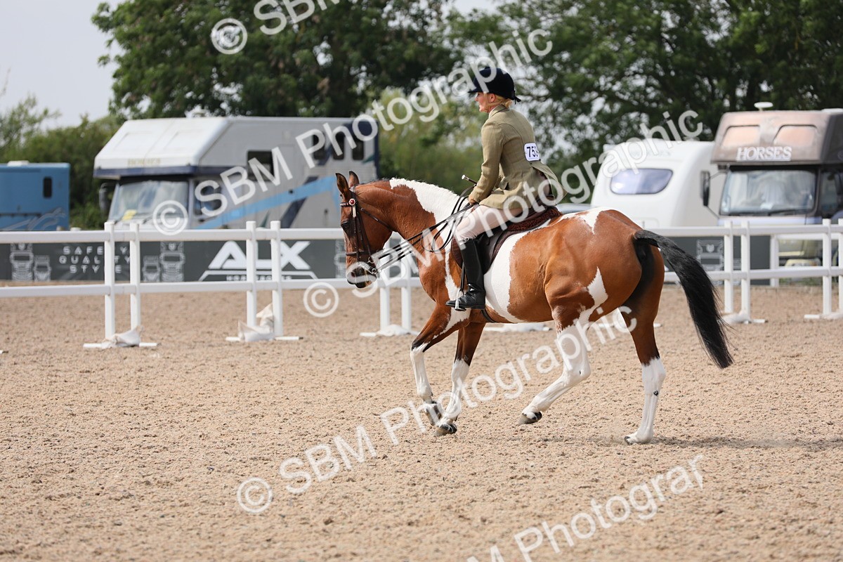 SBM_13422 - Class 308 Ridden Coloured Horse