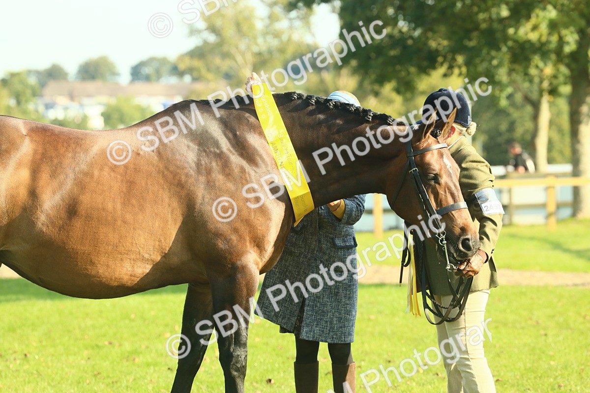 SBM_58631 - S37 - Starters In Hand Showing