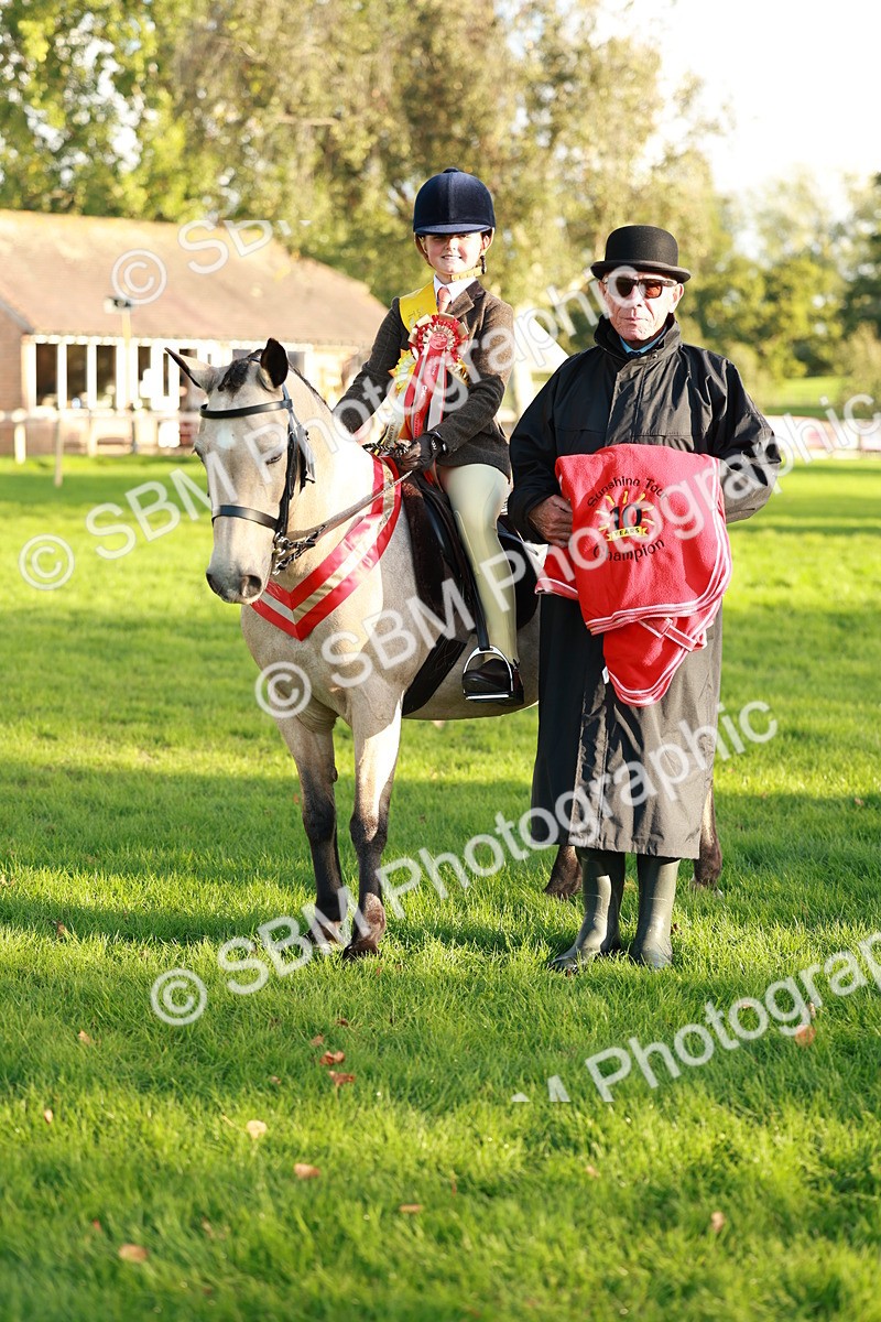 SBM_29335 - Novice & newcomer Supreme Championship