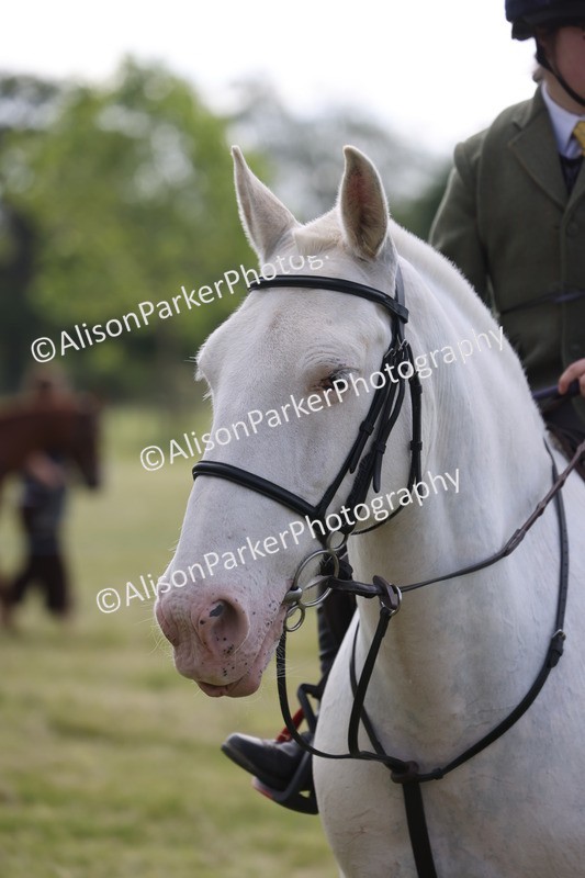 20260614-0761 - Class 20 - Beginners Working Hunter Pony