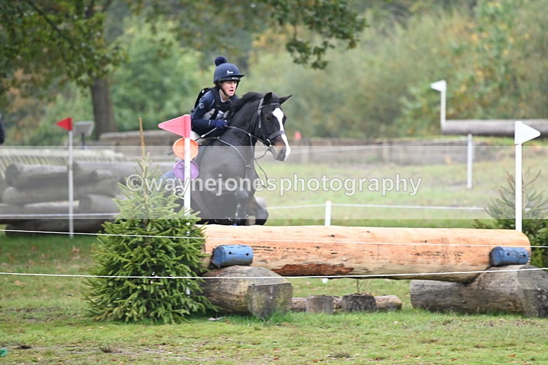 WJ6_2493 - 80cm Cam 1 Time 11:23 to 12:04