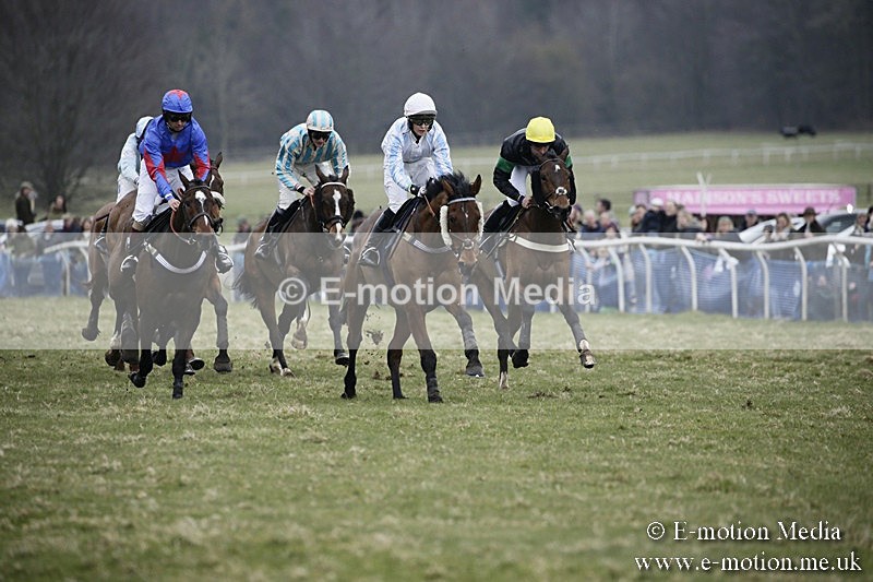 PtP 110318 389 - Hampshire Hunt Point-to-Point Hackwood Park 11/03/18