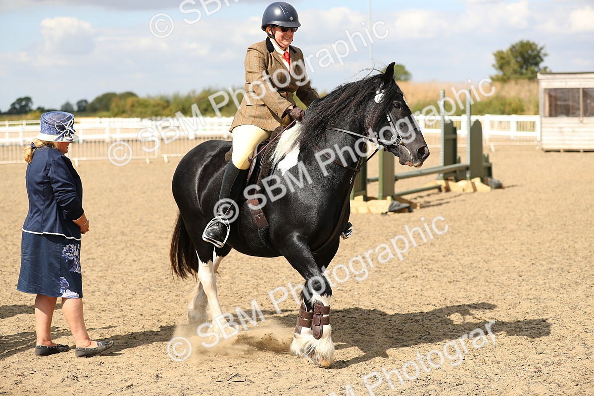 SBM_04255 - Class 46a Style & Performance 50cm (15-19)