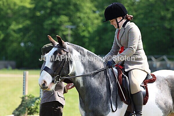 IMG_3463 - Working Hunter
