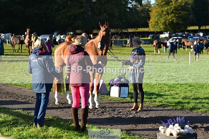231022-092856-21818 - 686-MOORLAND.MAGIC-Charlotte.Chard-TrotUp+SJ
