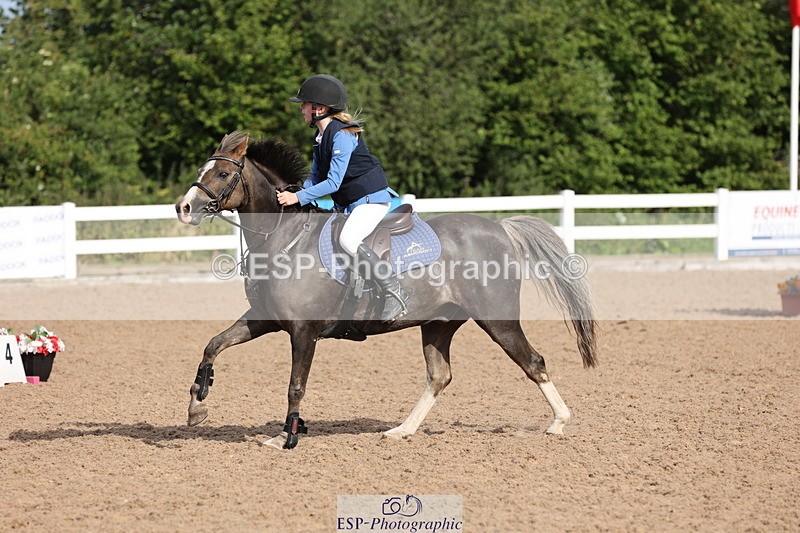 240629A-085159-02749 - Cls 16 British Novice and 80cm Open