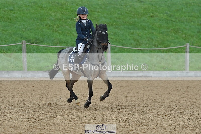 231119A-133400-06020 - Sun Cls 26 Springboard 128cm & 138cm