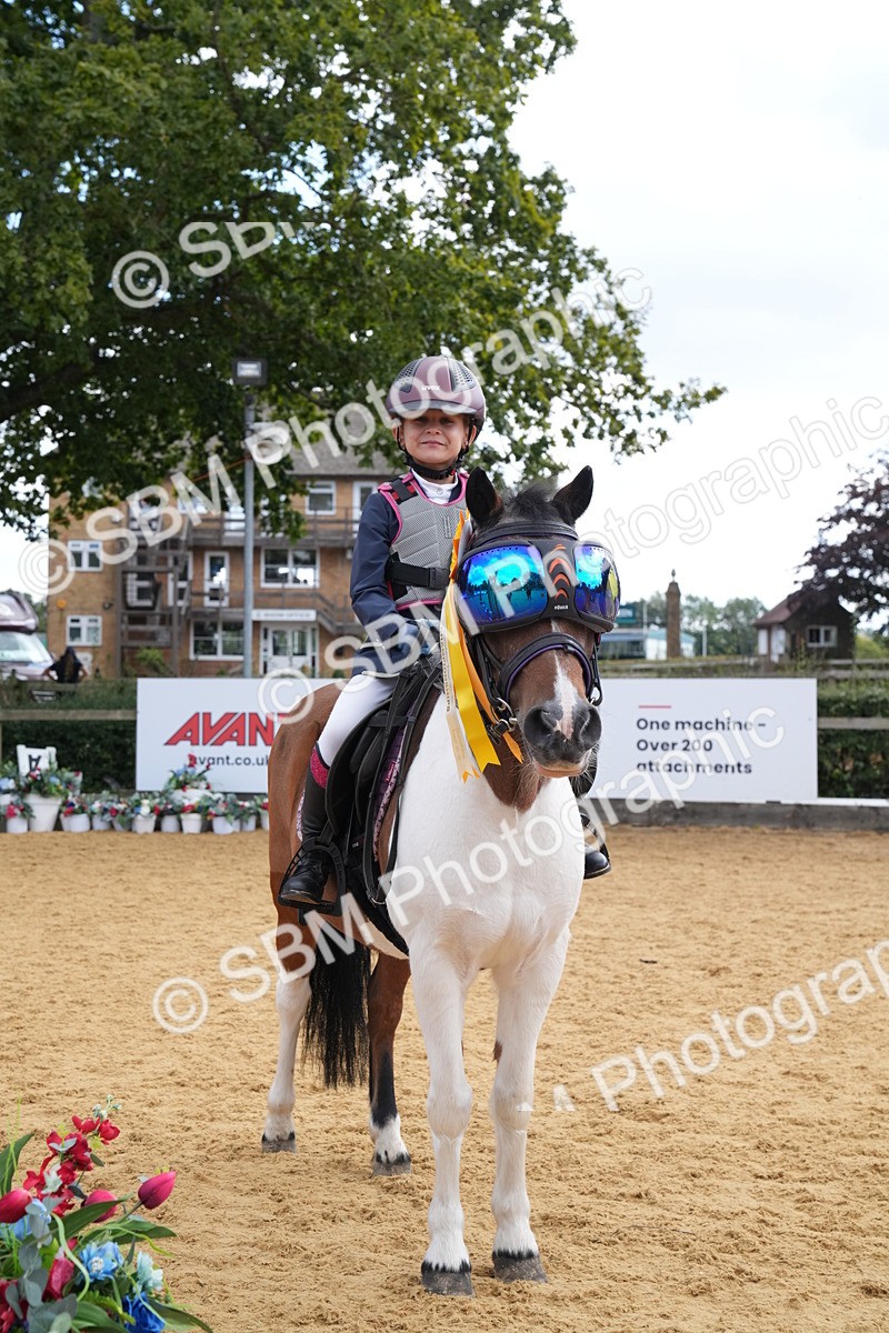 SBM_64564 - J2 - Mini Tour Junior Pony 30cm Championship