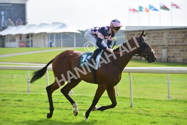 yr10072021r5-19 - Race 5: 4.05pm John Smith's Cup