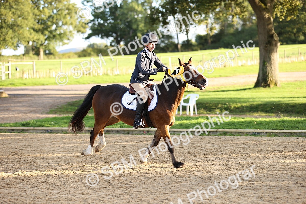 SBM_52130 - J10 - Junior Pony 75cm Championship