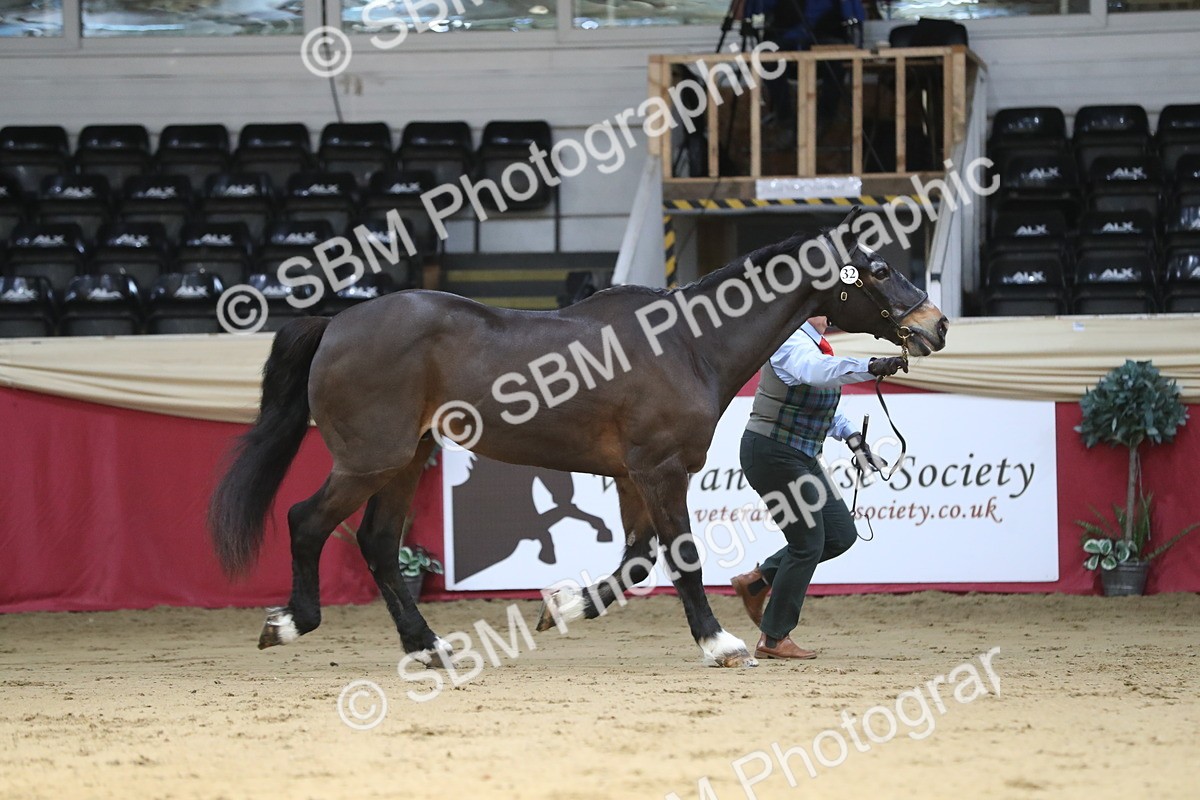 SBM_04321 - Class 7R Regional - IH Diamond