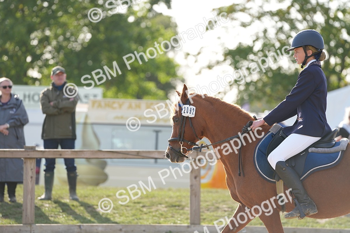 SBM_51149 - J8 - Junior Pony 65cm Championship
