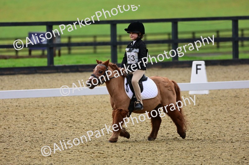 20260125-0549 - Class 9b - Walk Trot Unassisted