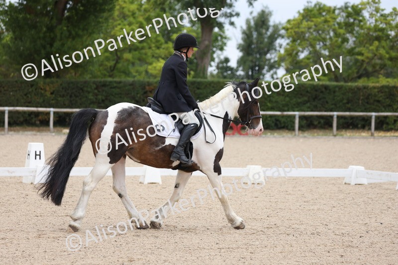 20250819-1165 - Class 3 - Prelim 2